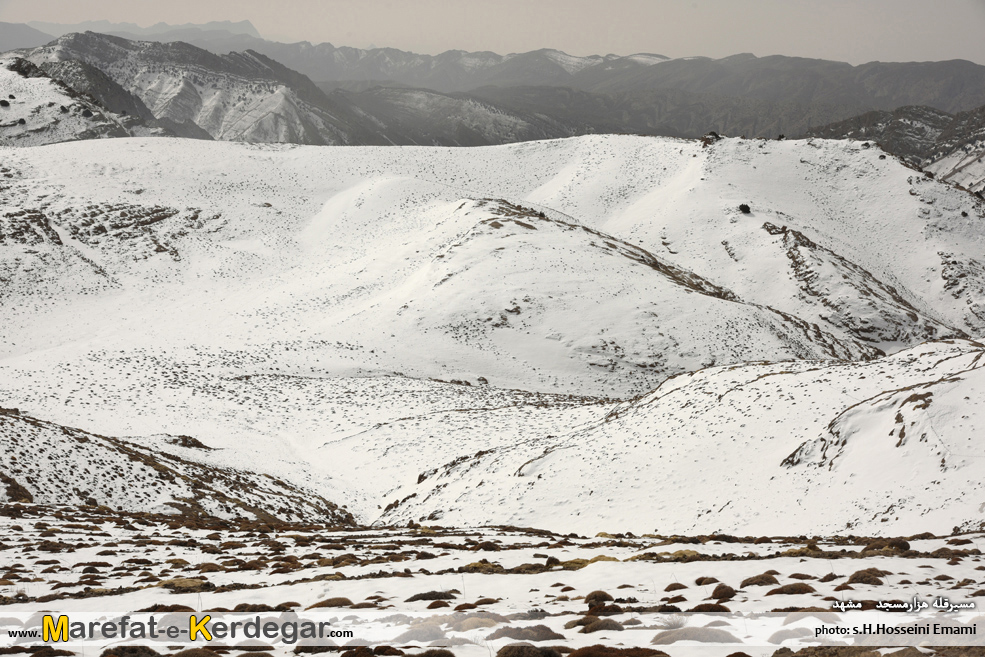 طبیعت زمستانی هزارمسجد